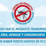 ¿Sabías que el mosquito transmisor de zika, dengue y chikungunya pueden haber puesto huevos en tu casa?